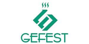Ремонт духовых шкафов Gefest